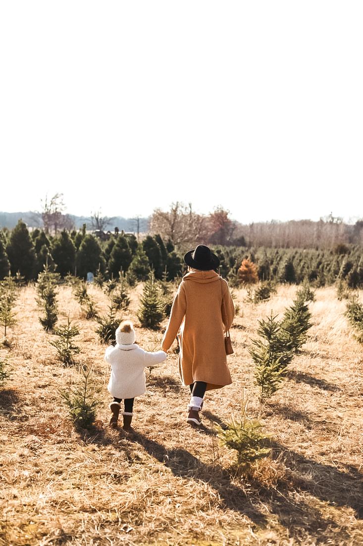A mom and daughter walk hand in hand through a field of young trees