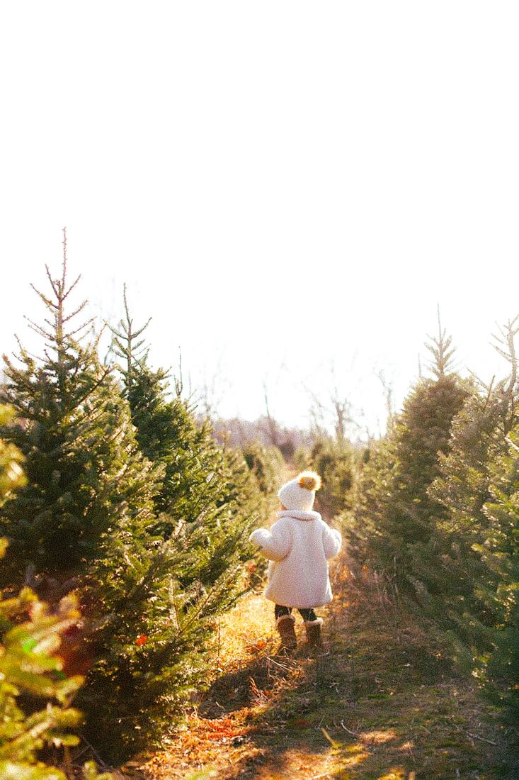 A toddler in a white coat walks between sunlit trees