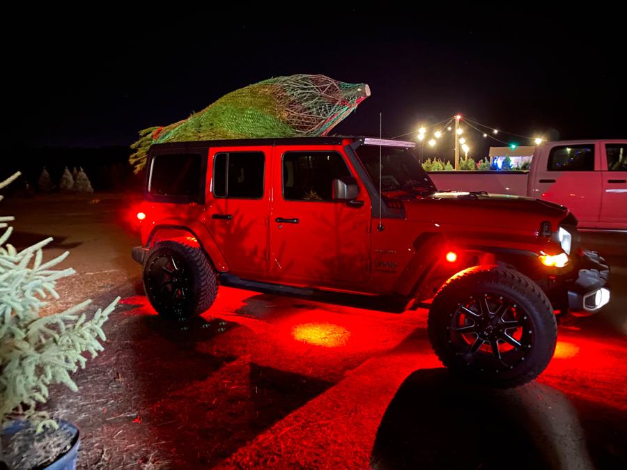 A red Jeep with a baled tree on the roof in the lot after dark