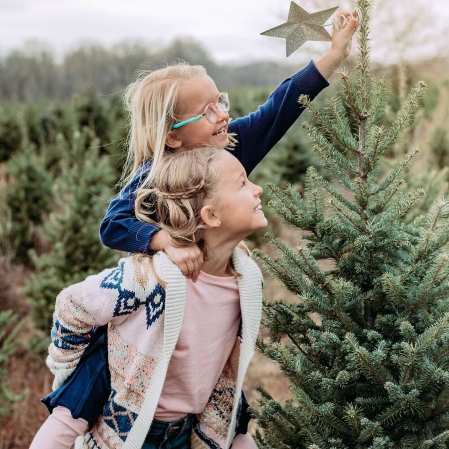 Two sisters put a star on top of a Christmas tree in the field