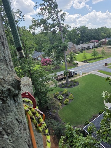 Land Restoration in Taylors
