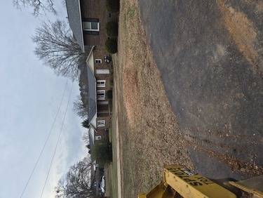 Tree Felling & Removal Taylors