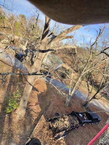 Land Restoration Taylors