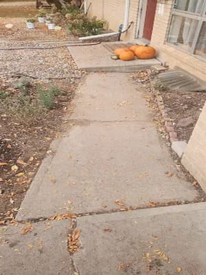 {{ custom_values.service_3 }} in {{custom_values.area_3})