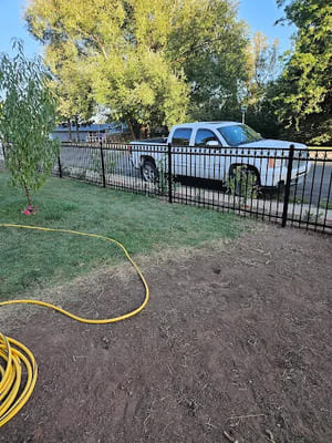 {{ custom_values.service_3 }} in {{custom_values.area_3})