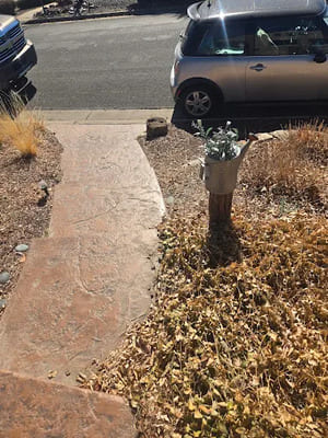 {{ custom_values.service_3 }} in {{custom_values.area_3})