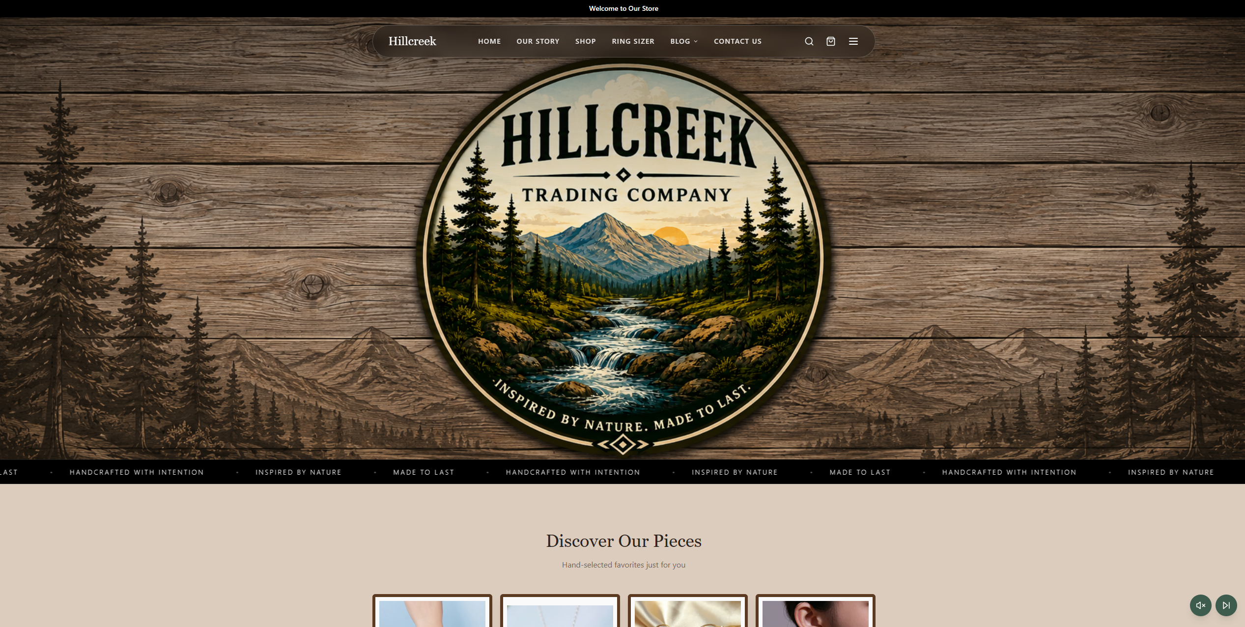 Web Design Example