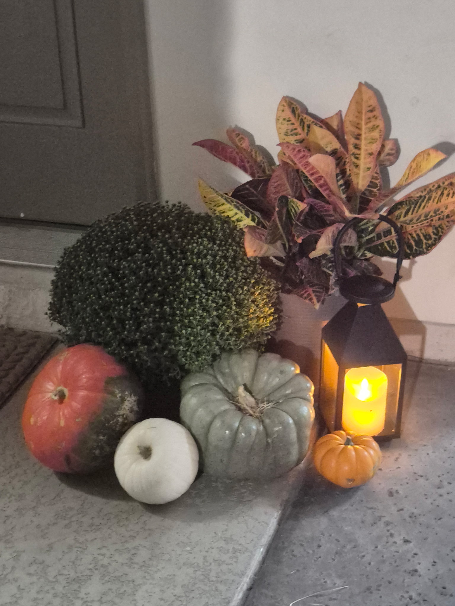 Fall arrangement with pumpkins, a mum, colorful foliage, and a glowing black lantern