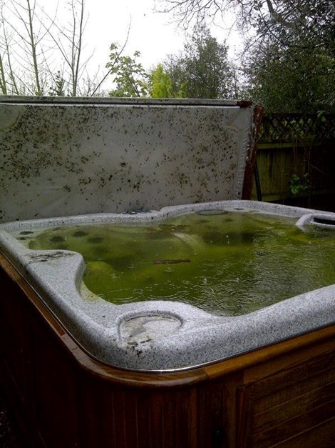 Cloudy and dirty hot tub water showing poor maintenance between guests