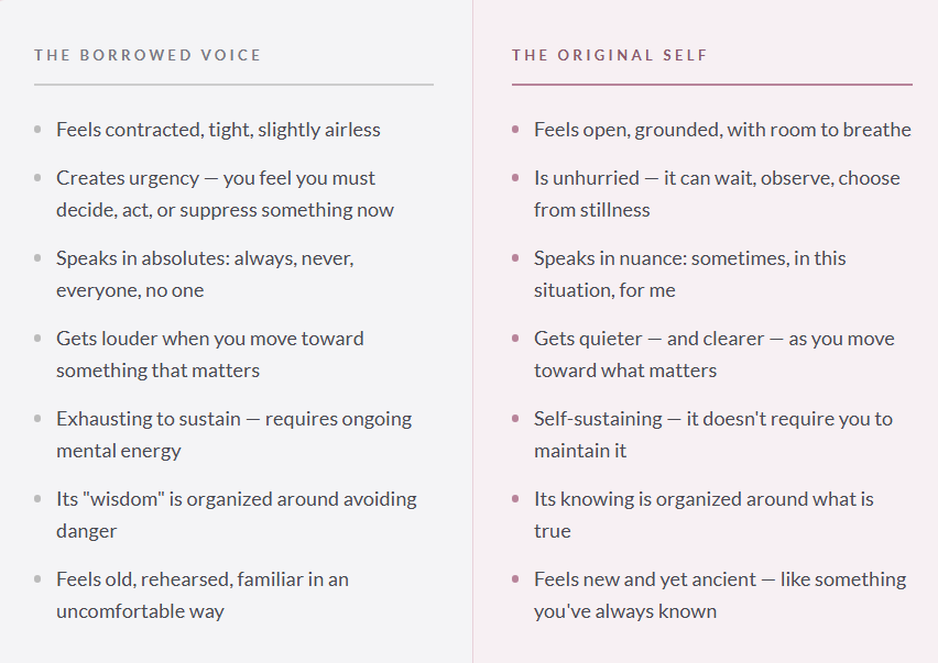 The Borrowed Voice vs. The Original Self — a comparison of how each feels from the inside, Energy Intelligence Method™ by Janell Rae The Borrowed Voice vs. The Original Self — a comparison of how each feels from the inside, Energy Intelligence Method™ by Janell Rae