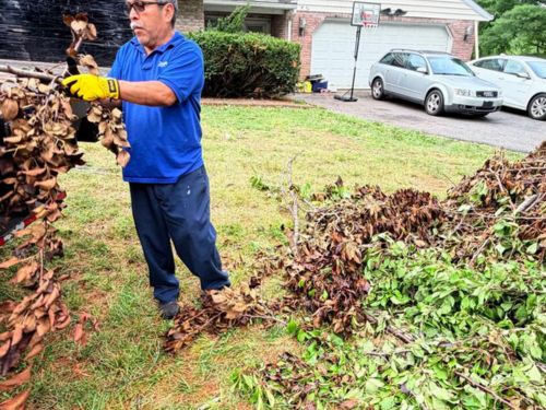 Yard Debris Removal in Lancaster