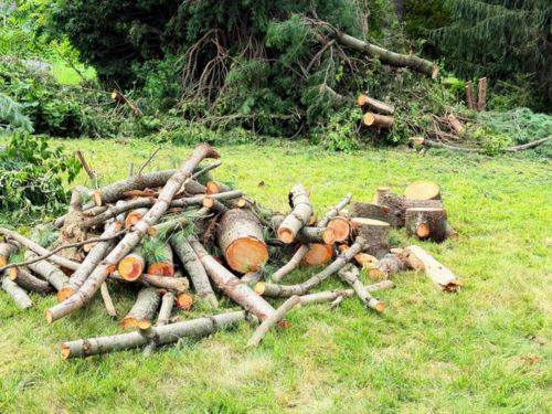 Yard Debris Removal Lancaster