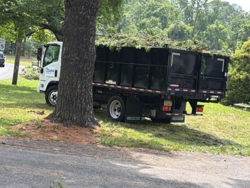Old Furniture Removal 