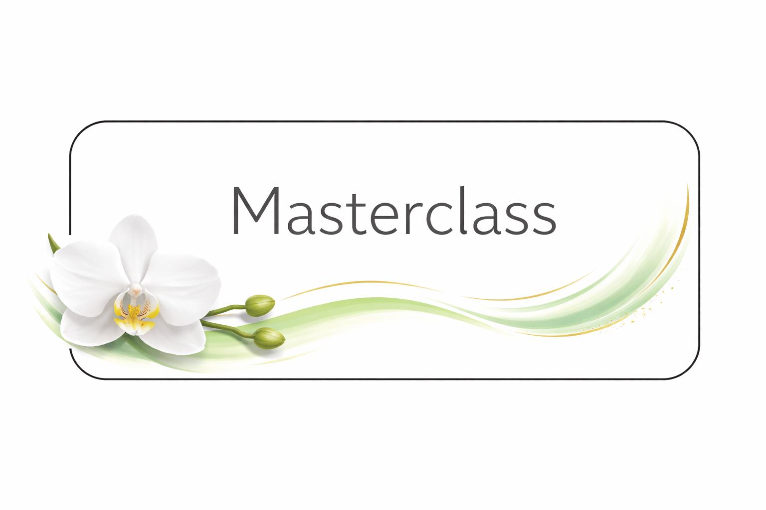 Event image for Energy Medicine: The Science of Our Subtle Anatomy