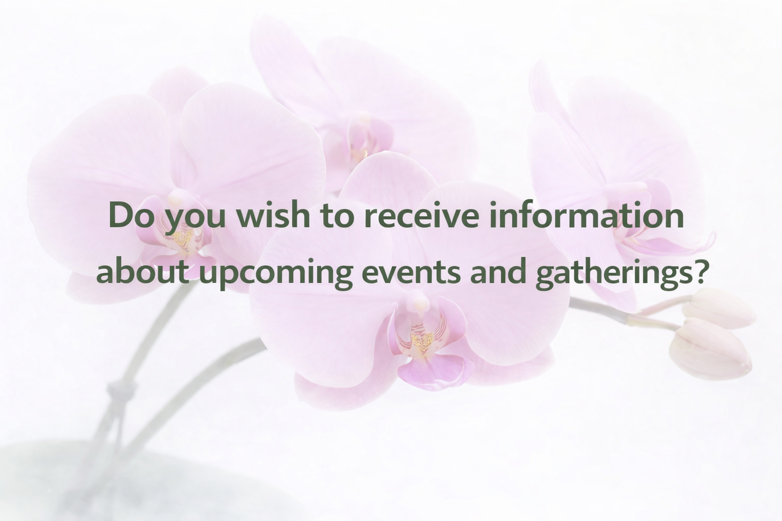 Subscribe to receive updates