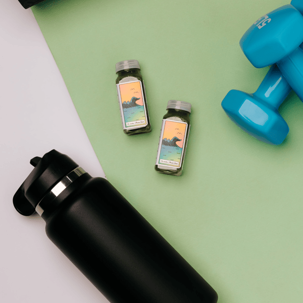 wellnesscoaching