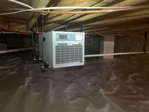 {{ custom_values.service_1 }} in {{custom_values.area_5})