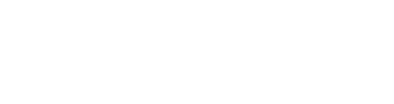 Lyon Real Estate Group