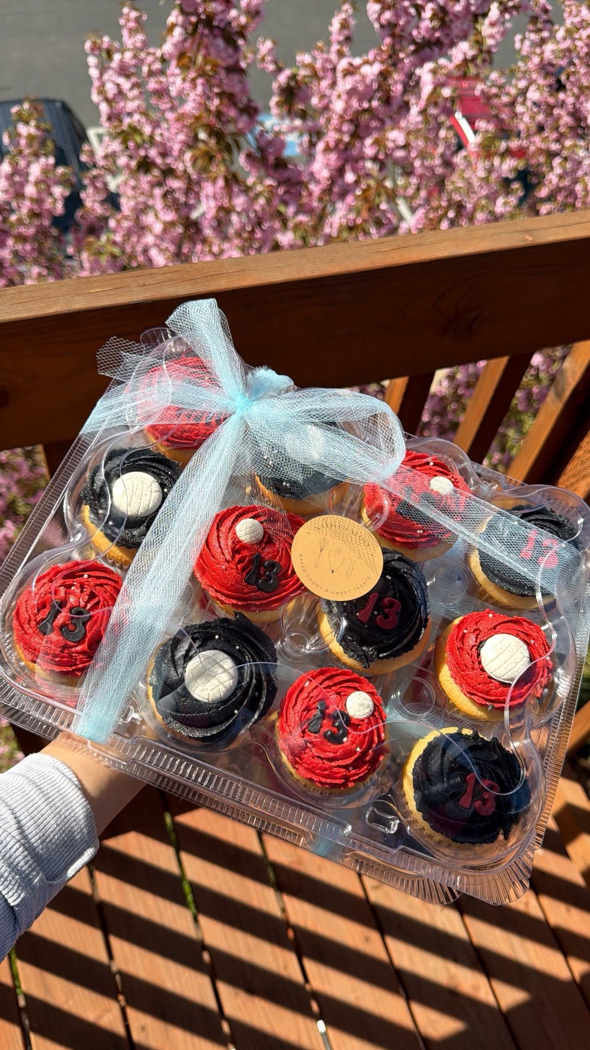 Volleyball themed custom cupcakes