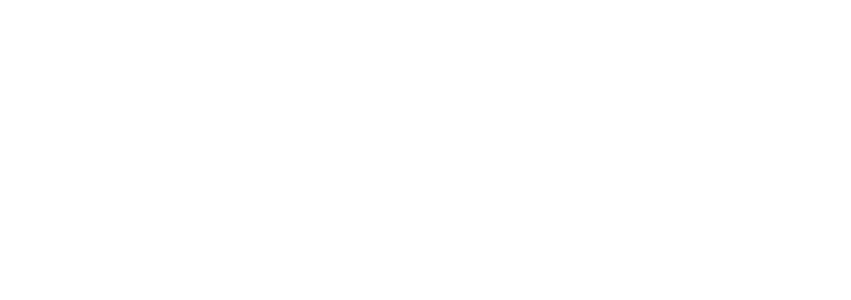 Fortizon