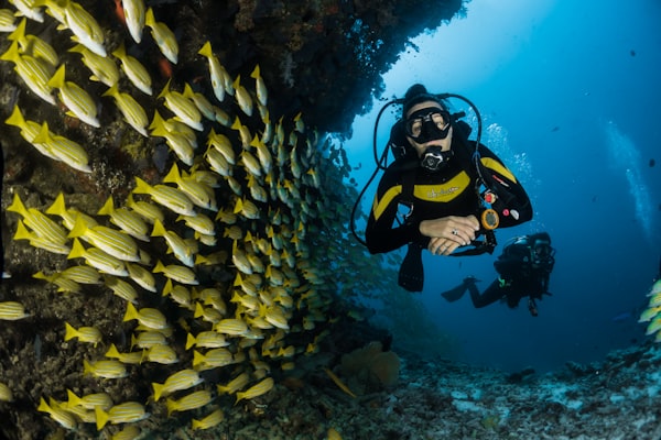 Club Nautique & Excursions Sunshine Charter