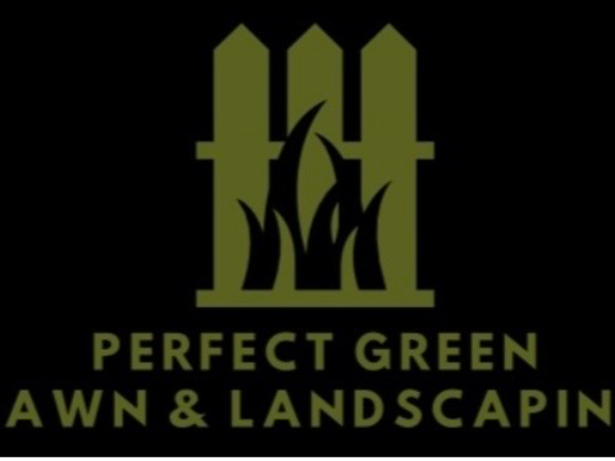 Perfect green lawn and landscaping