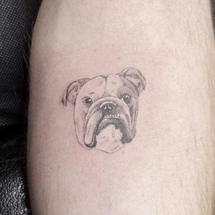 Detailed Horse with a flower tattoo fine line