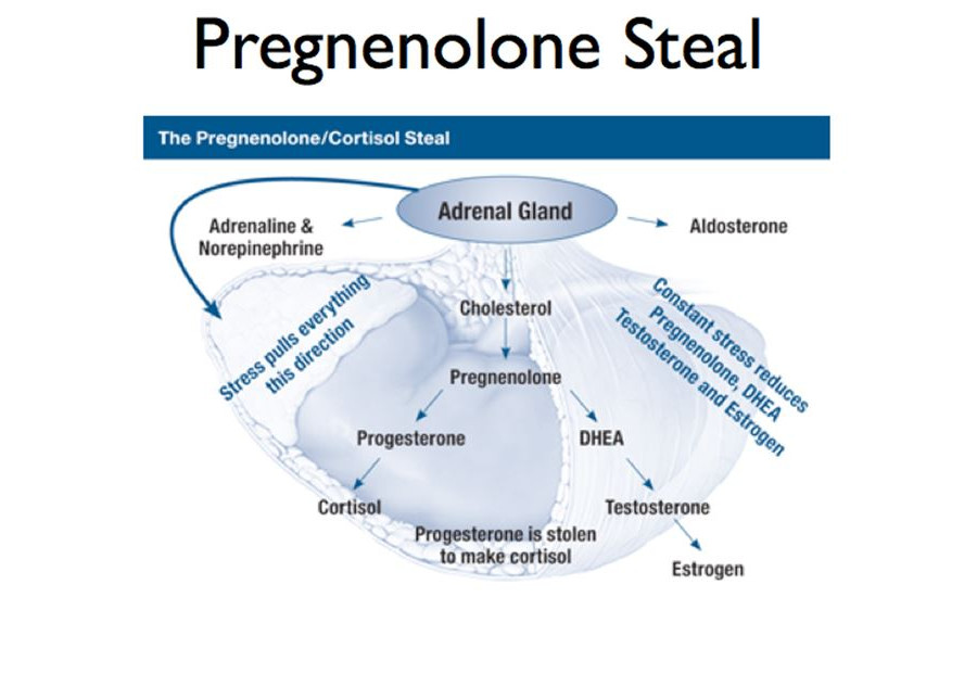 pregnenolone steal pregnenolone steal