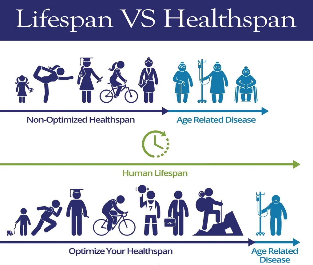 Difference between healthspan and lifespan