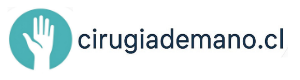 Logo Dr. Nicolás Lespinasse — Cirugía de Mano