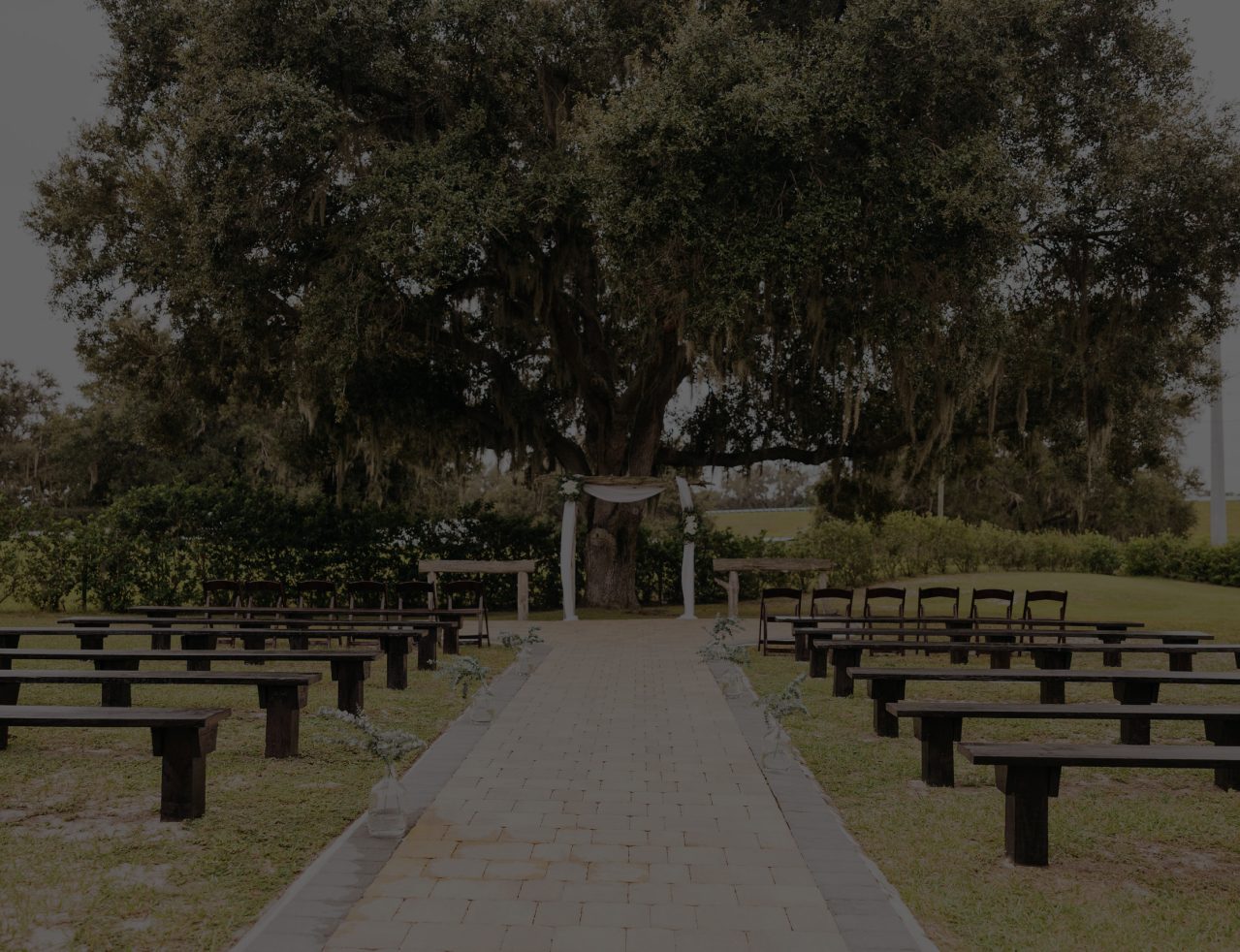 Rows of wooden benches on the ceremony lawn beneath a spreading live oak