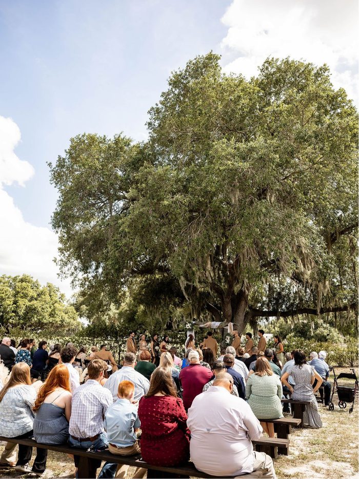Guests seated on benches for an outdoor ceremony beneath the oak