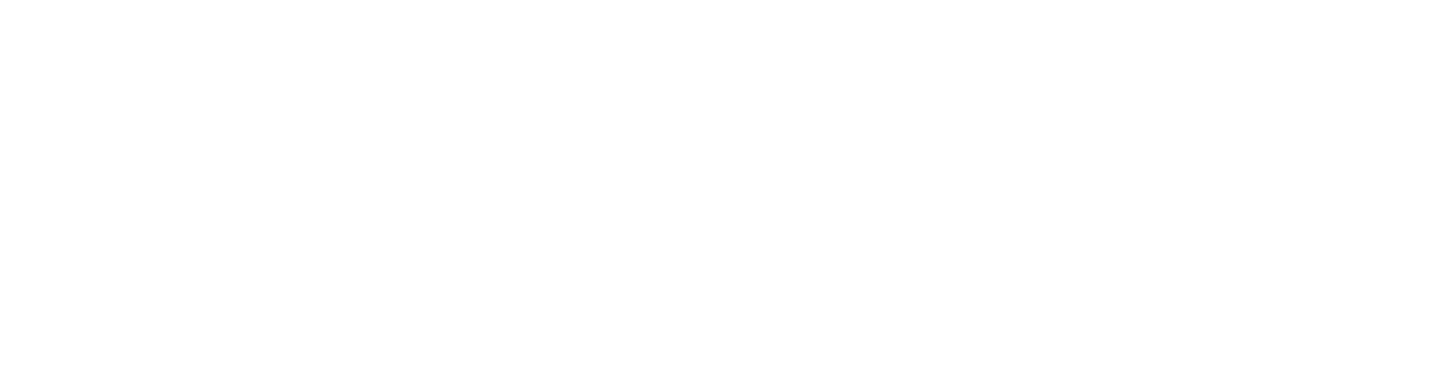 Safenet