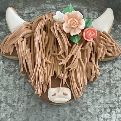 Custom cookie collection Forest Hill Maryland gourmet cookies Aunt Jenny Jenn’s Kitchen bakery