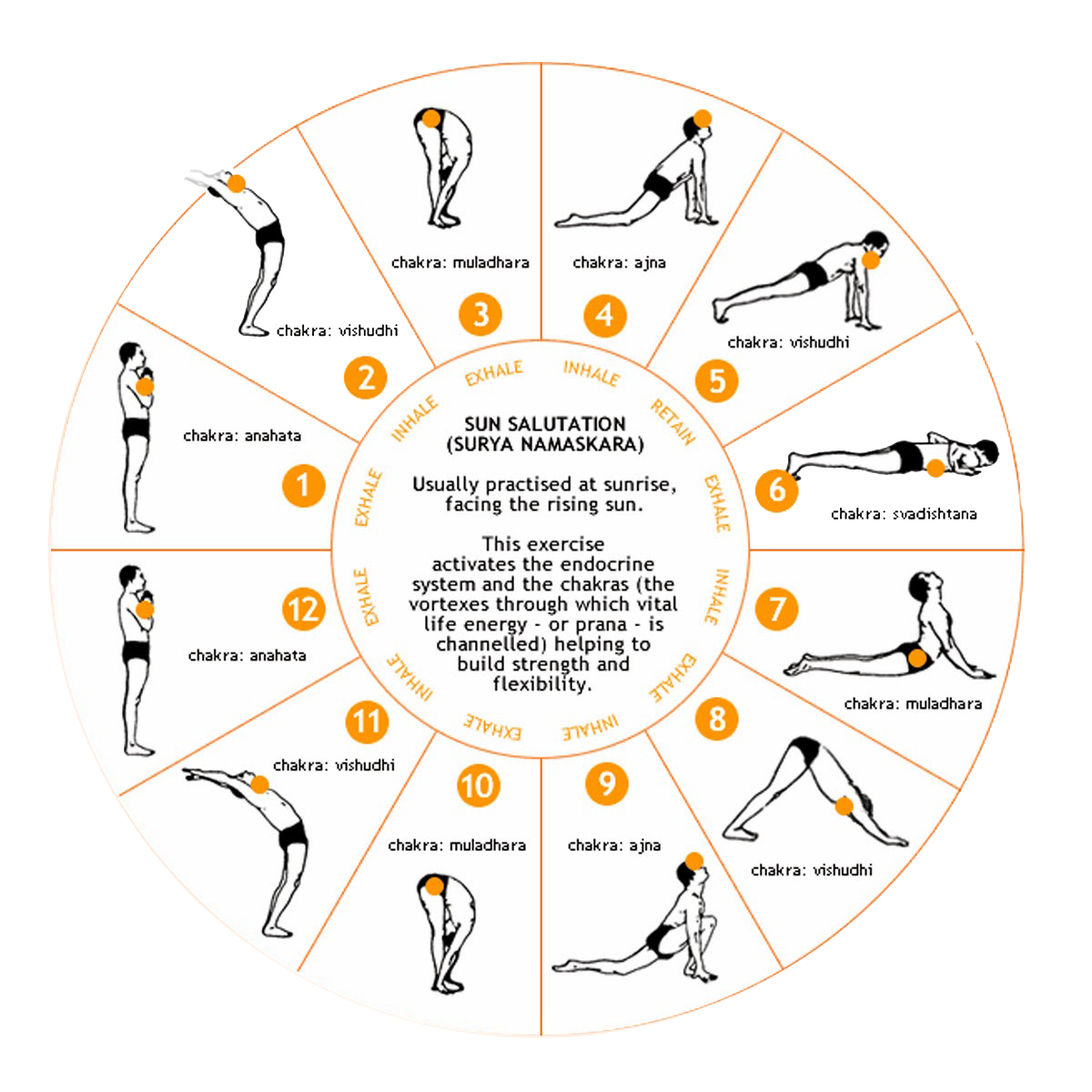 Surya Namaskara - Sun Salutation sequence.