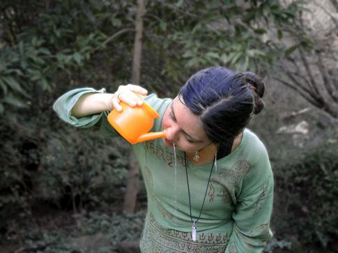Using a nasal cleansing pot