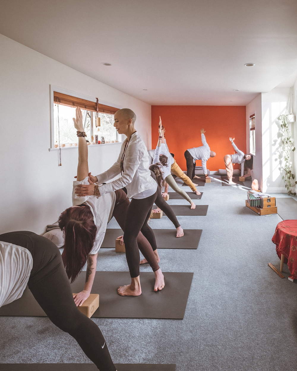 Beginners Yoga Course foundational hatha