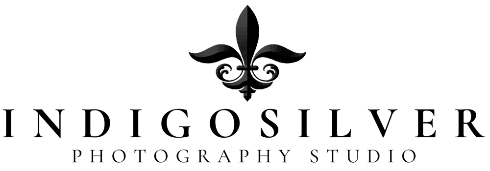 Indigosilver Studio Logo