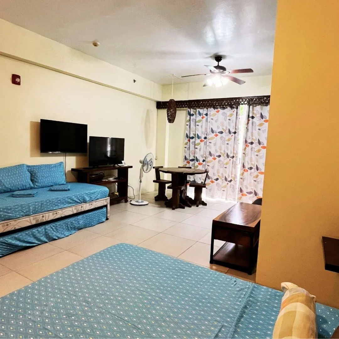 Bright living area with sofa bed and dining table