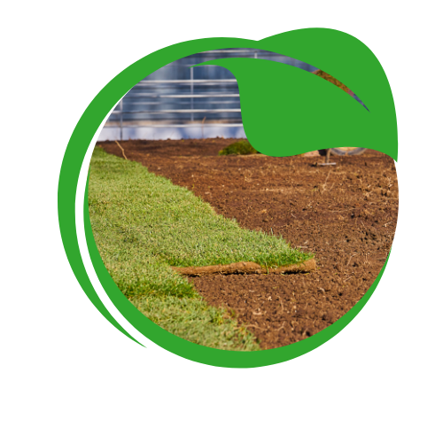 Indulge in the refreshing essence of our energizing products,