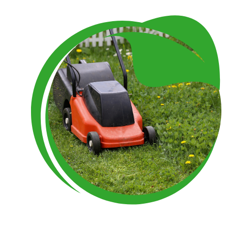 Indulge in the refreshing essence of our energizing products,