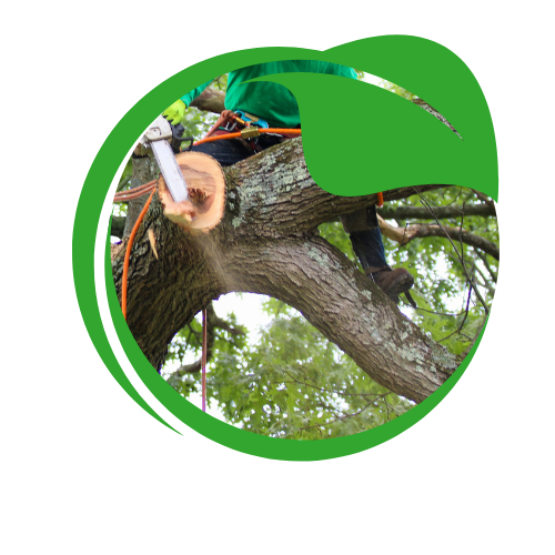 Indulge in the refreshing essence of our energizing products,