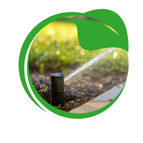 Indulge in the refreshing essence of our energizing products,