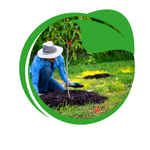 Indulge in the refreshing essence of our energizing products,