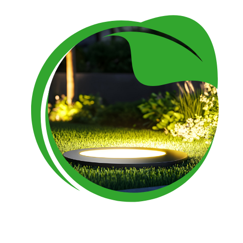 Indulge in the refreshing essence of our energizing products,