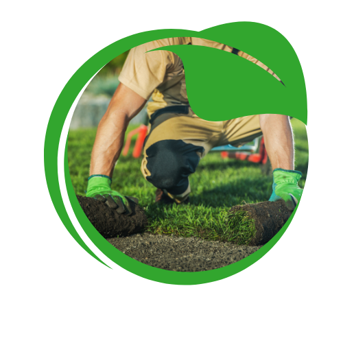 Indulge in the refreshing essence of our energizing products,