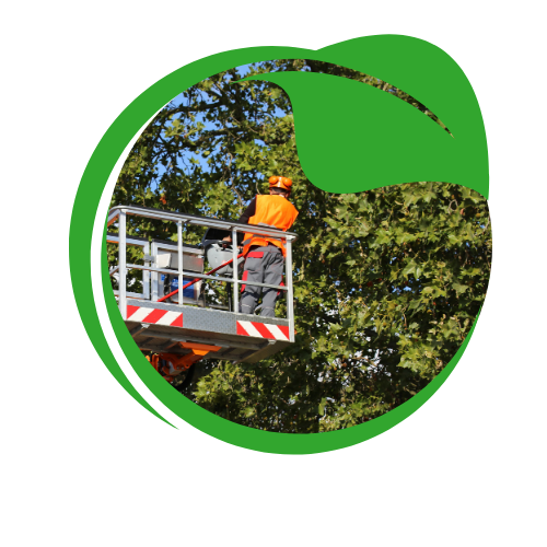 Indulge in the refreshing essence of our energizing products,