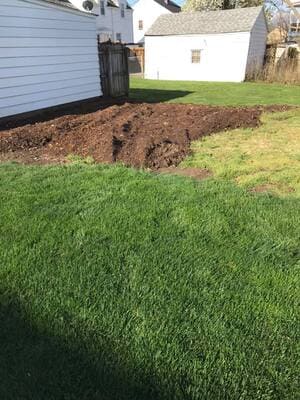 Lawn Clean ups in Brunswick