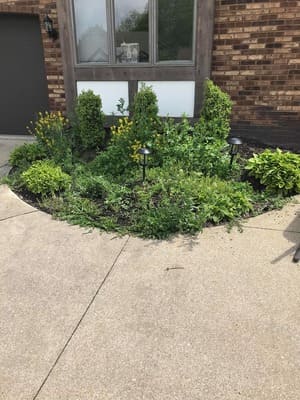 Lawn Mowing in Strongsville