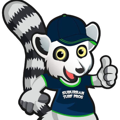 lawn care in Strongsville